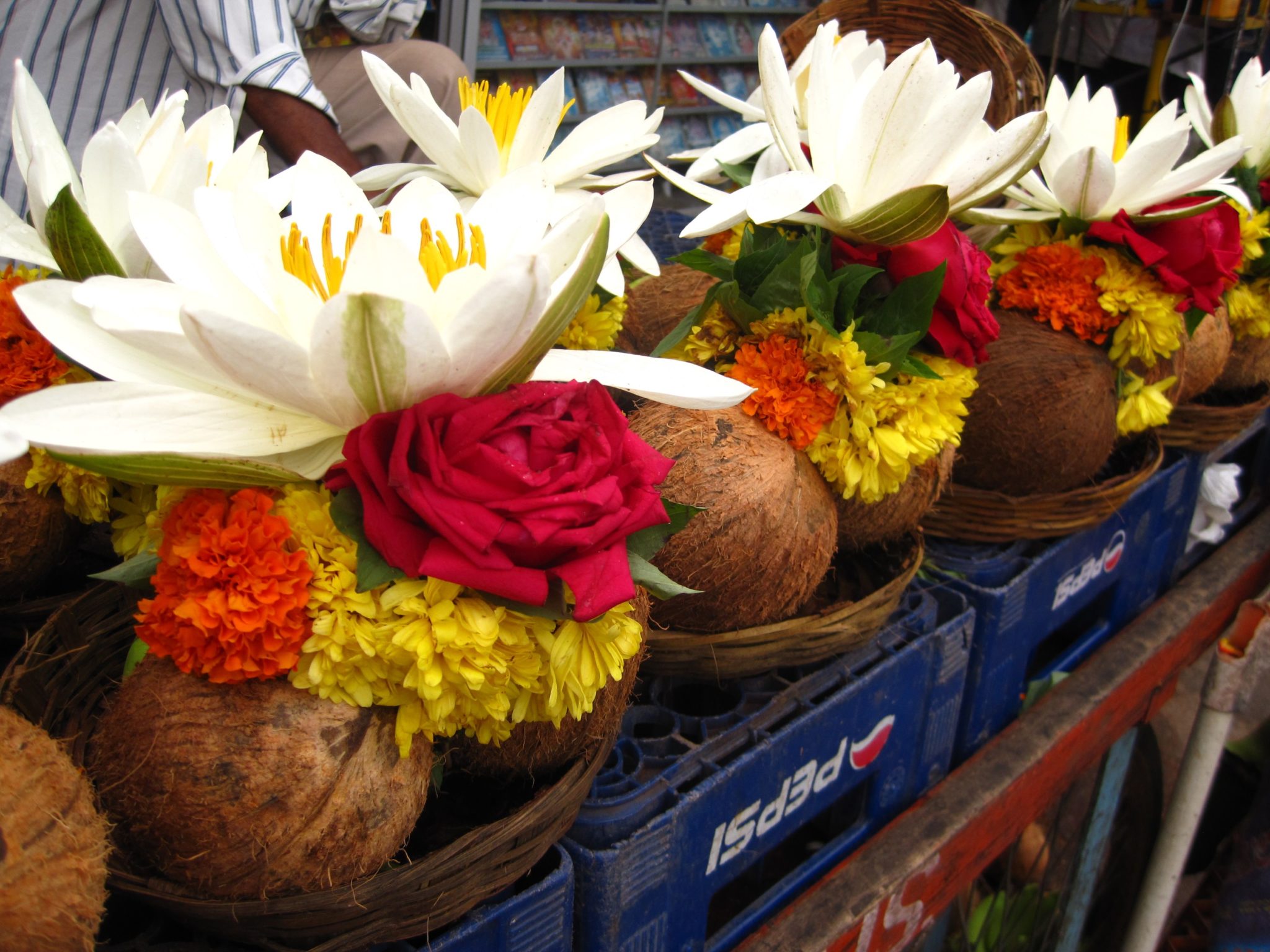 Image result for nariyal and padma flower