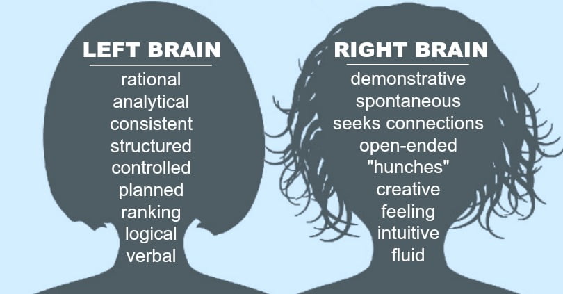 left brained and right brained person traits