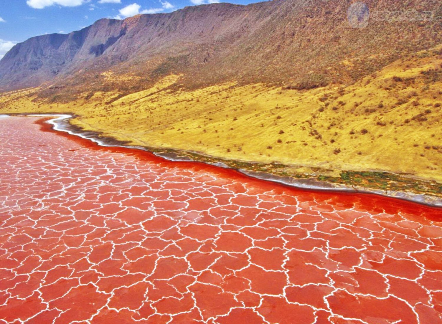 Does the deadly Lake Natron really turn animals into stone?